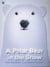 A Polar Bear in the Snow