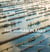 The Human Planet : Earth at the Dawn of the Anthropocene