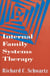 Internal family systems therapy
