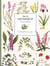 Mon herbier à colorier
