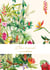 Carnet Larousse - Fleurs tropicales