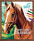 Mon grand carnet de coloriages AU GALOP