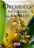 Orchidées sauvages des Antilles