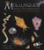 Mollusques marins et dulcaquicoles des antilles françaises