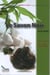 Le savon noir - la solution naturelle pour une peau douce et satinee