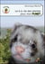 Le b.a.-ba des plantes pour mon furet