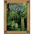 Livre joueur Changelin : Le Songe - Arkhane