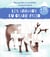 Mes puzzles a completer en gommettes : les animaux du grand froid