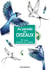 Cartes a colorier au paradis des oiseaux - cartes a colorier ou a peindre