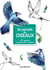 Affiches a colorier : au paradis des oiseaux - affiches a colorier ou a peindre