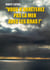 Vous n'arrêterez pas la mer avec les bras !