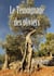 Le temoignage des oliviers