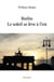 Berlin - le soleil se leve a l'est