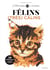 Colo by number - félins très calins