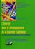 L'énergie dans le développement de la Nouvelle-Calédonie : Energy in the development of New Caledonia. Avec cd-rom. Version bilingue.