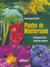 Plantes de mediterranee - composez votre jardin de couleurs