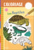 Les reptiles - coloriage