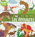 Coloriage - les dinosaures