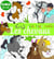 Les chevaux