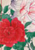 Carnet Hazan Roses dans l'estampe japonaise 12 x 17 cm (papeterie)