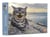 Agenda - Calendrier Drôles de chats 2024