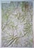60176 MONTS D'AUVERGNE 113 X 80