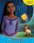 Disney wish