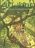 Alice et leopold n.3 vallee pierres vertes
