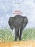 Bayaya, chasseur d'éléphants