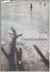 Guerre solitaire
