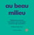 Au beau milieu - mediateurs culturels, animateurs socio-educatif : comment agir ensemble