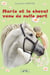 Marie et le cheval venu de nulle part