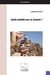 Quelle stabilite pour la jordanie ?