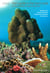 Field guide to the hard corals of the southern coast of yemen