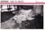 Gertrud de Carl Th.Dreyer-