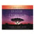 LOI DE L'ATTRACTION + 3 CD INCLUS