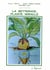 LA BETTERAVE, PLANTE MIRACLE Histoire - Tradition - Botanique - Biologie - Sucrochimie