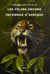 Les felins encore inconnus d'afrique