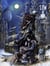 Seeds of wars Tome 2 : La reine corsaire