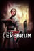 Le plan cerebrum