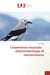 Lexperience musicale : phenomenologie et neurosciences