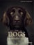 The dogs, human animals /anglais