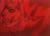 Berserk illustration - movie artbook character part (vo japonais)
