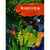 Chinese reading for young world citizens good characters: the sincere peacock