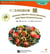 Chinese idioms about monkeys (chinese graded readers elementary)