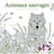 Animaux sauvages - Dessins à colorier