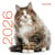 Calendrier de table : Chats (édition 2026)