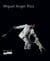 Miguel angel rios