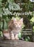 La chatte de navacelles