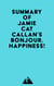 Summary of Jamie Cat Callan's Bonjour, Happiness!
